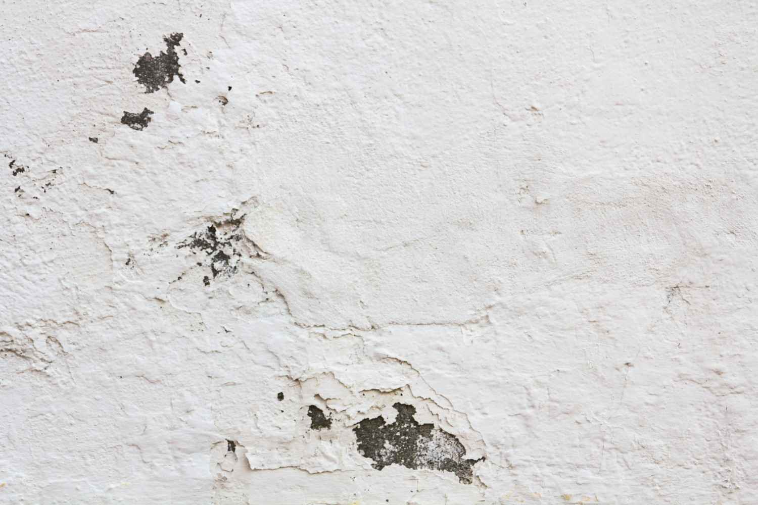 Visible mold damage on a cracked and peeling interior wall requiring mold remediation.