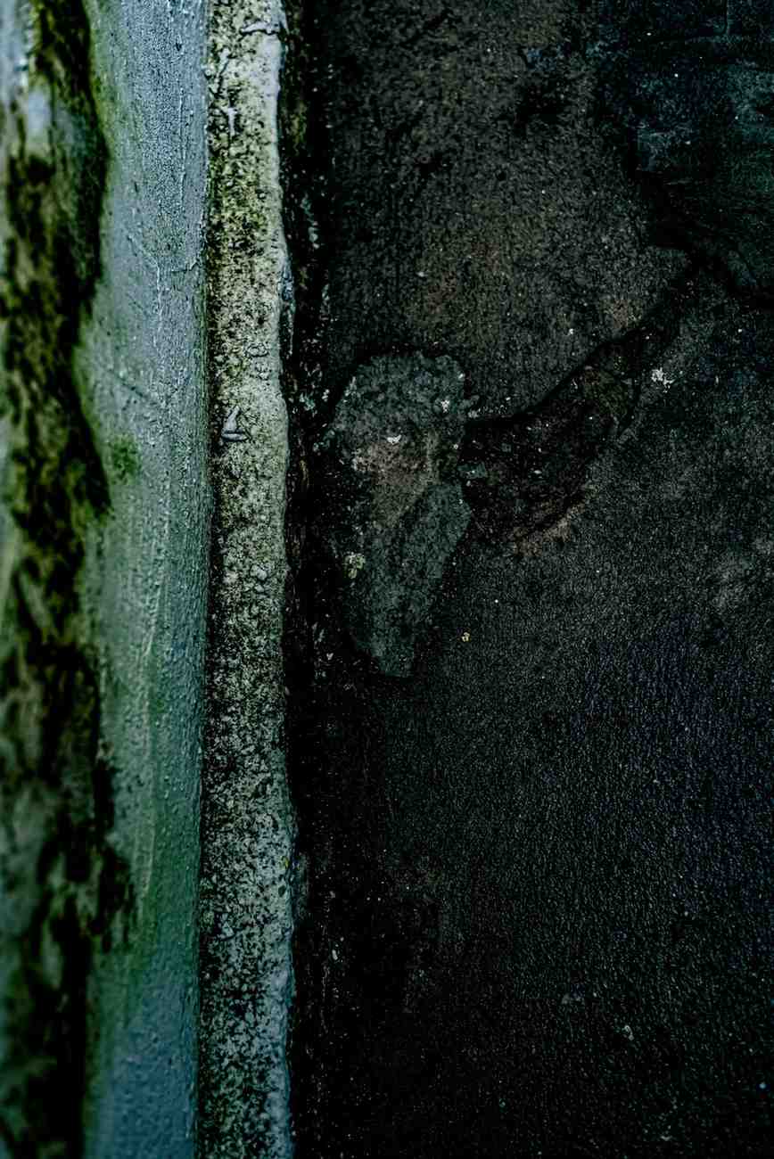 Damp concrete foundation edge with green mold and algae growth.