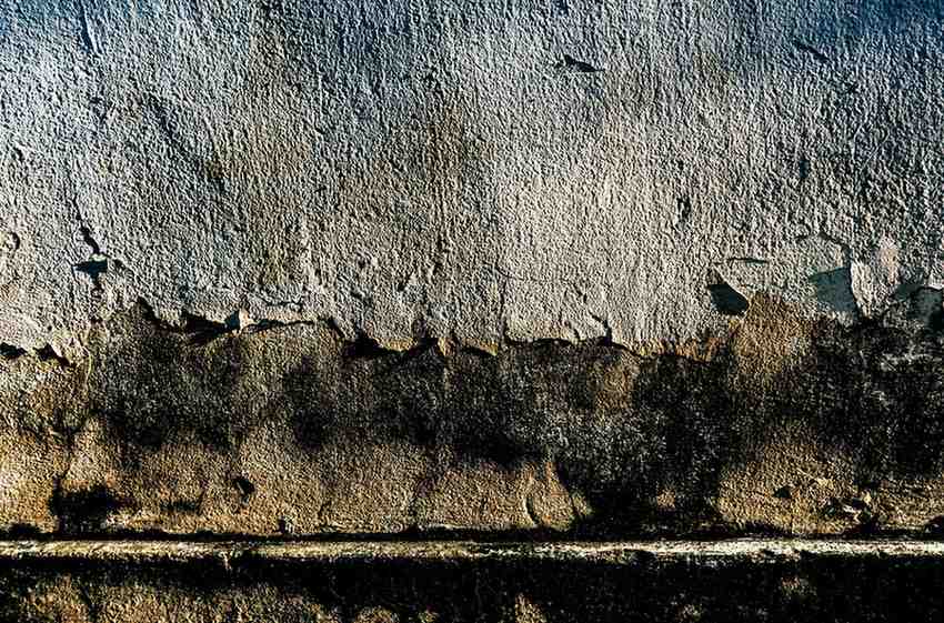 Black mold growing on a water-damaged interior wall requiring professional mold remediation services