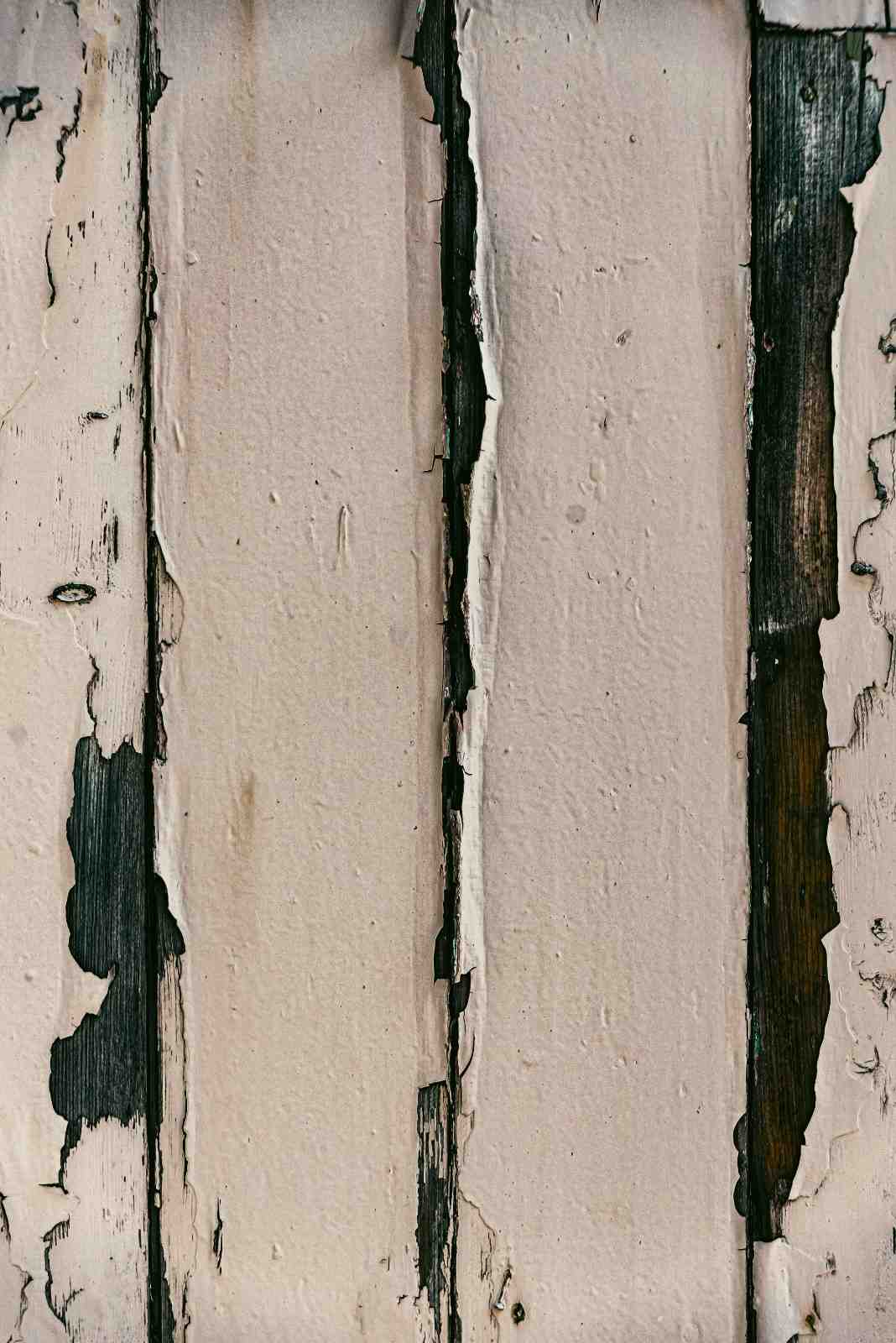 Peeling painted wood with moisture damage and mold signs requiring professional mold removal services.