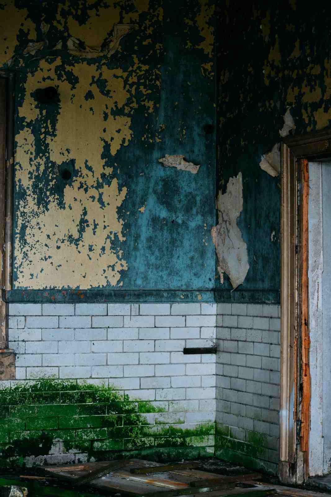 Heavy green mold growth covering white wall tiles and peeling blue paint from water damage.