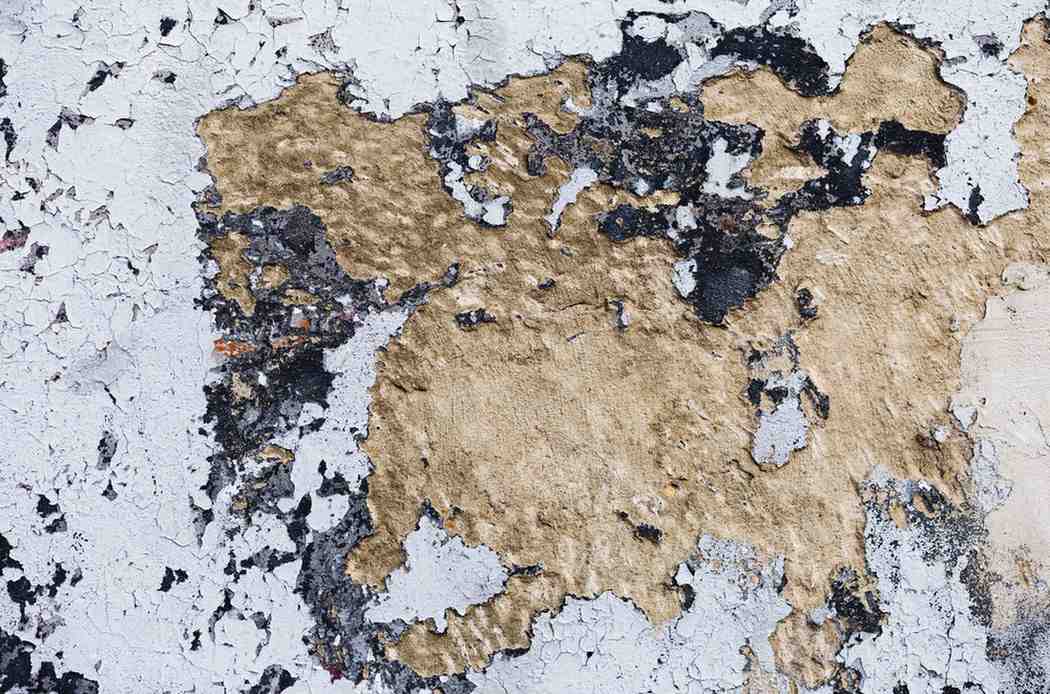 Flaking white paint and dark mold spots revealing a damaged, stained concrete wall surface.