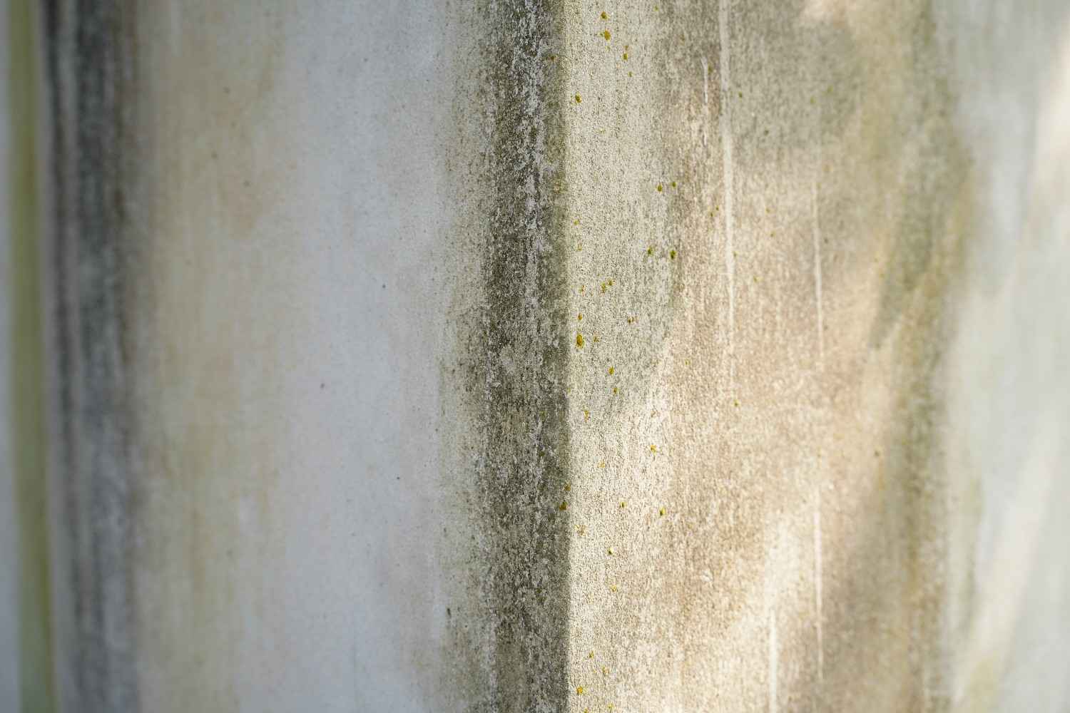 Moisture-stained concrete wall showing early signs of mold growth requiring professional mold remediation.