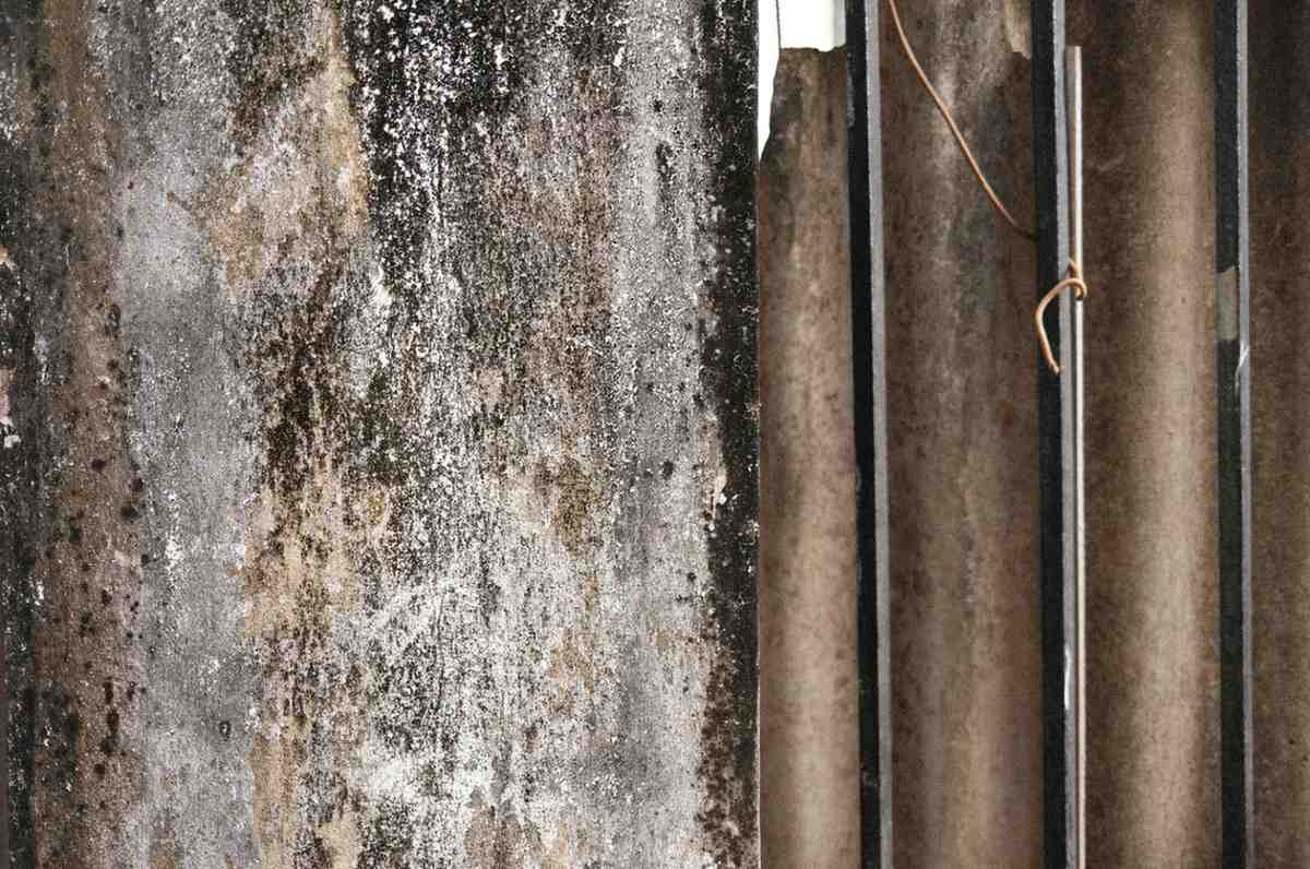 Heavy black mold and mildew growth covering a concrete pillar due to severe, untreated water damage.