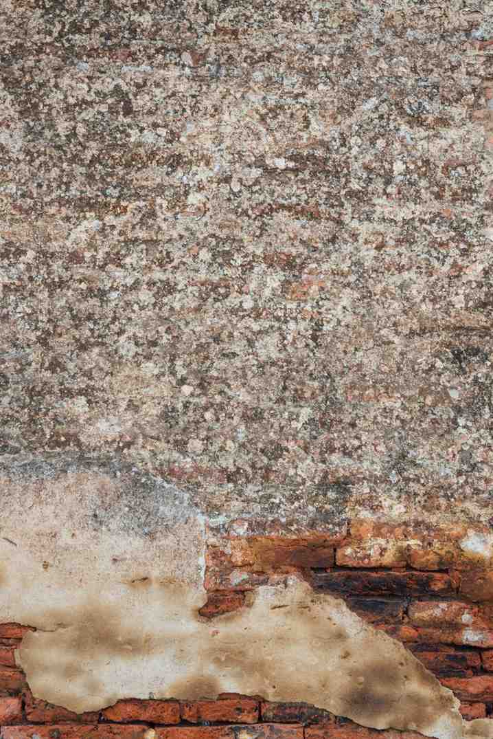 Textured wall with black mold stains and moisture damage.