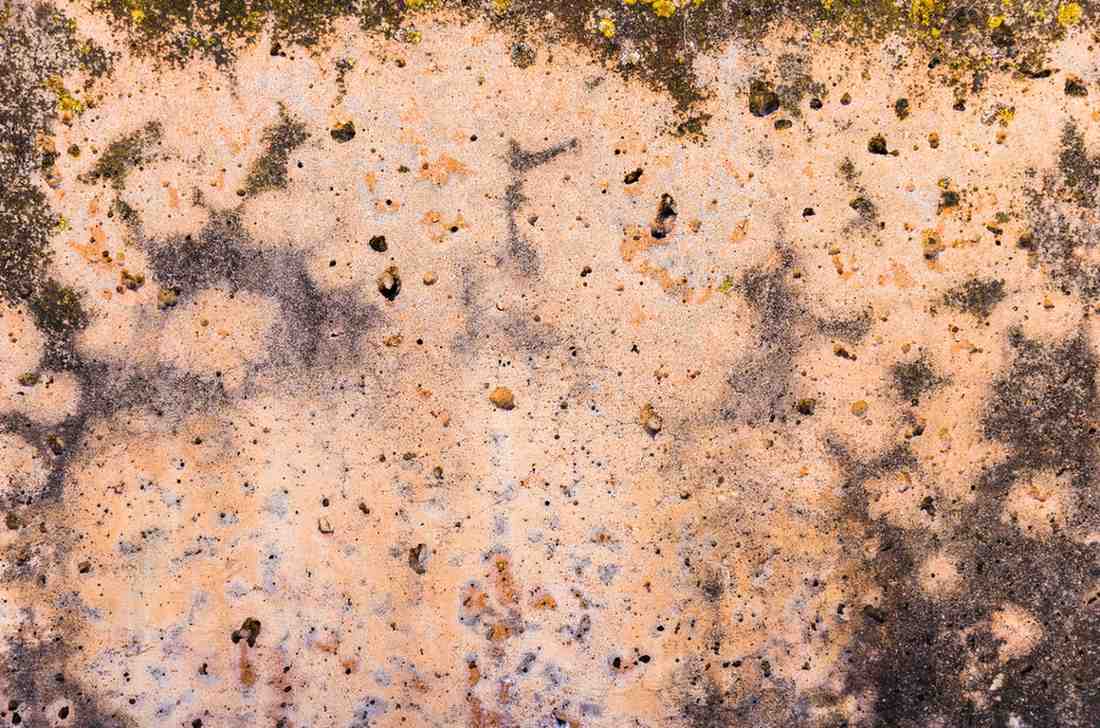 Porous stone wall texture showing dark moisture stains and suspected mold growth requiring remediation.