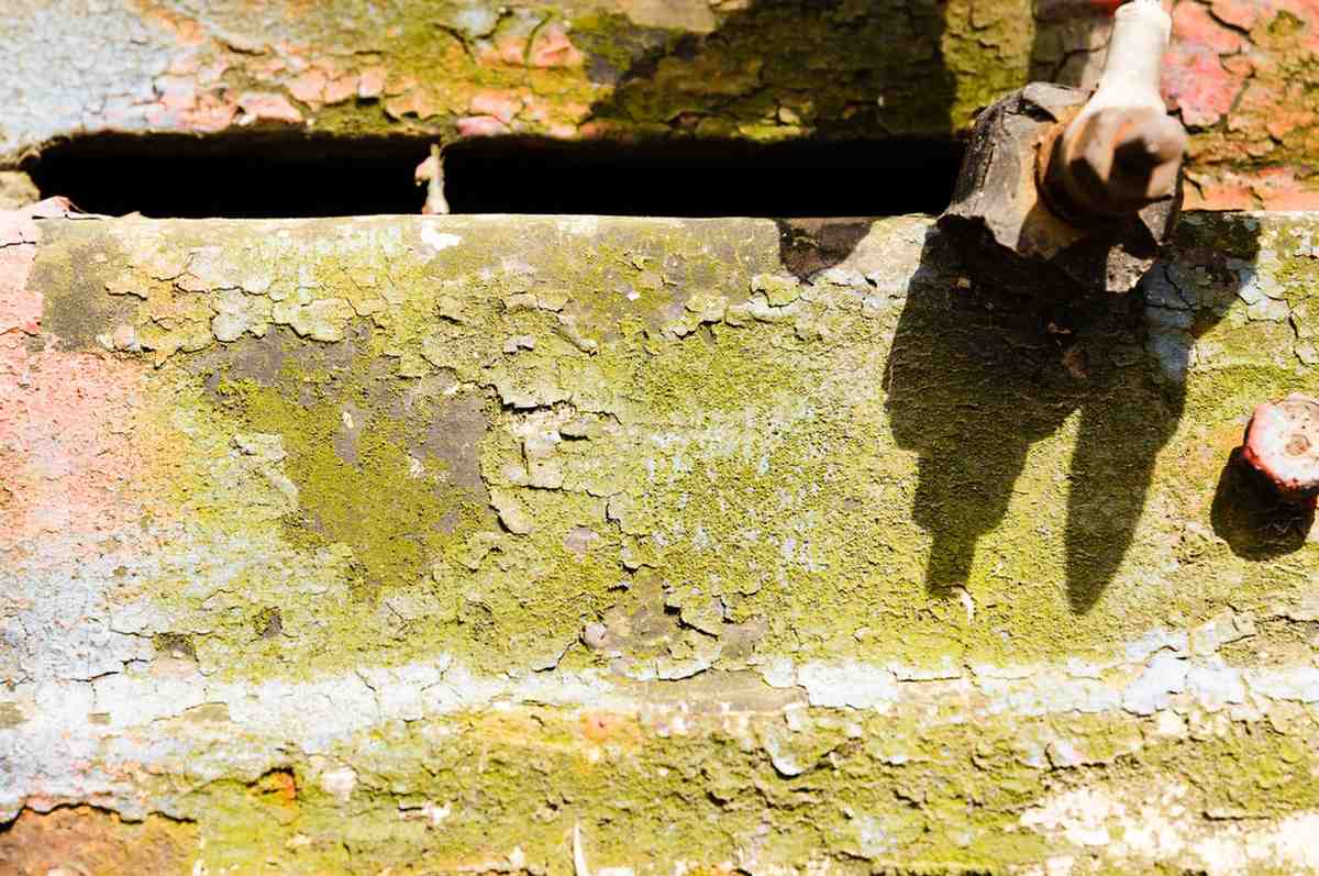 Cracked painted surface with green mold and water damage.