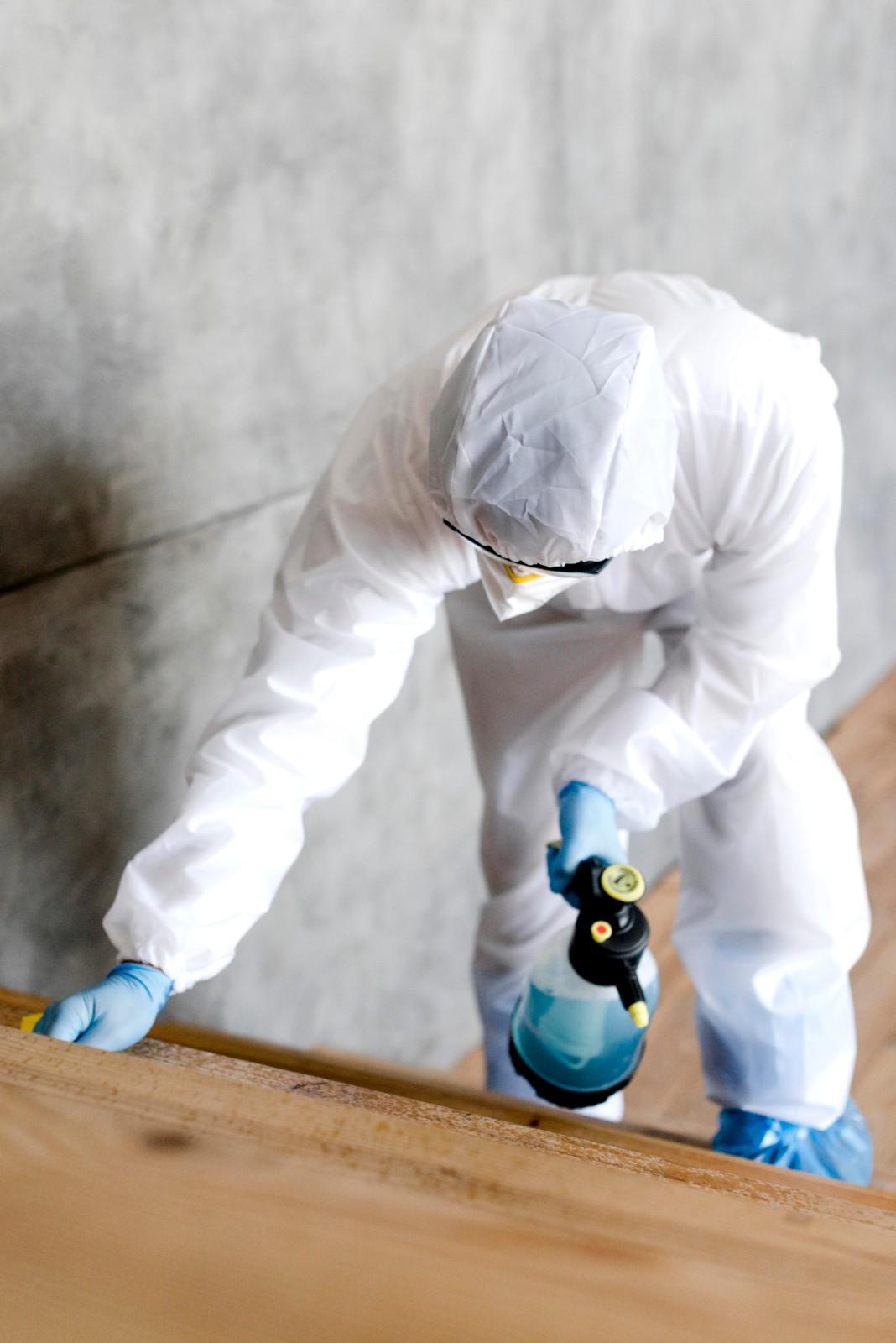 Professional in protective PPE suit spraying mold treatment on wooden stairs.