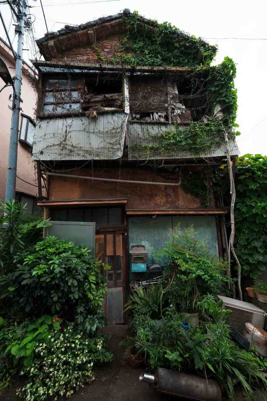 An abandoned, dilapidated two-story house heavily overgrown with green vines and foliage.
