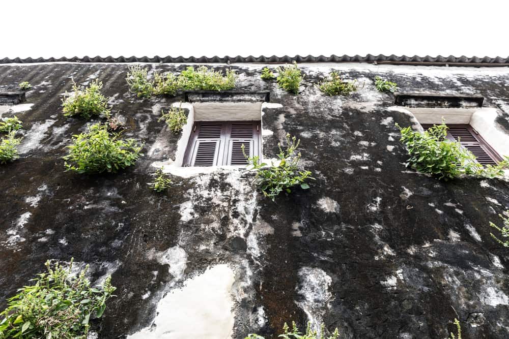 Home exterior showing visible water damage and moisture deterioration