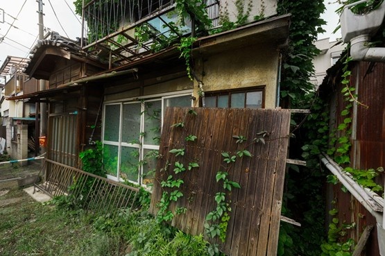 Abandoned brick building interior with broken windows and mossy floor debris.