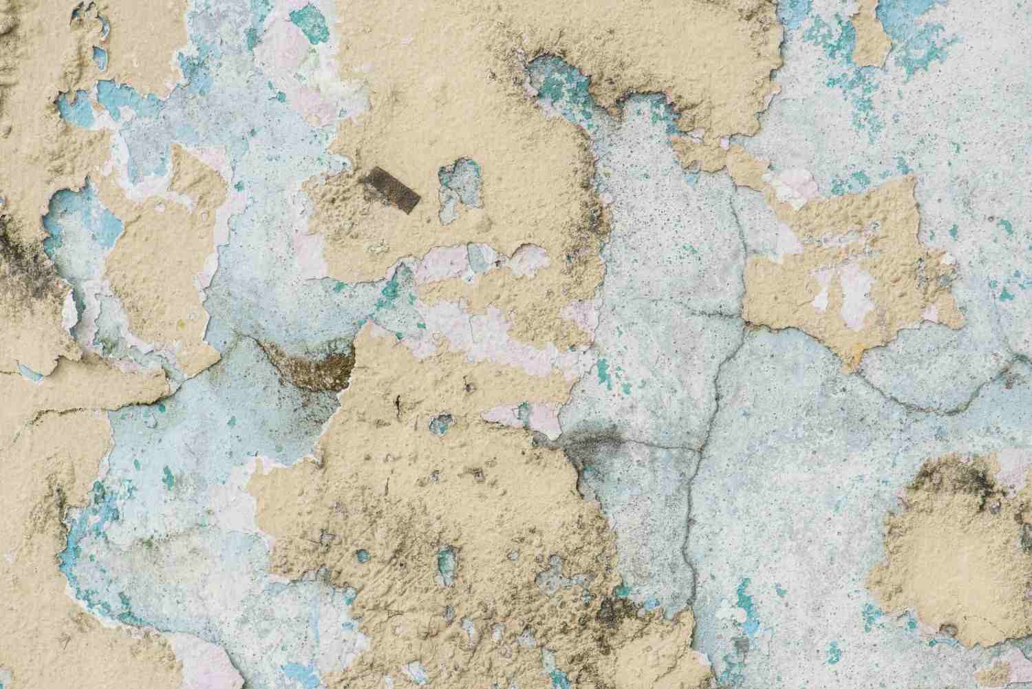 Peeling water-damaged wall with visible signs of mold growth